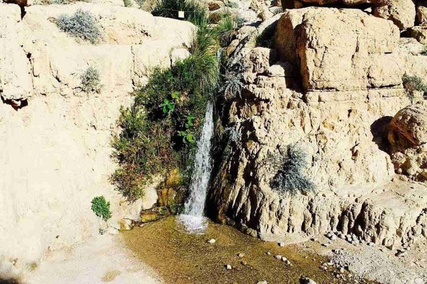 Private Dead Sea Sightseeing Tour from Jerusalem 4