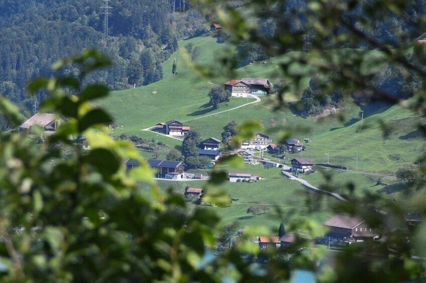 Private tour. Beautiful Switzerland. Alps, Lakes, Villages 3