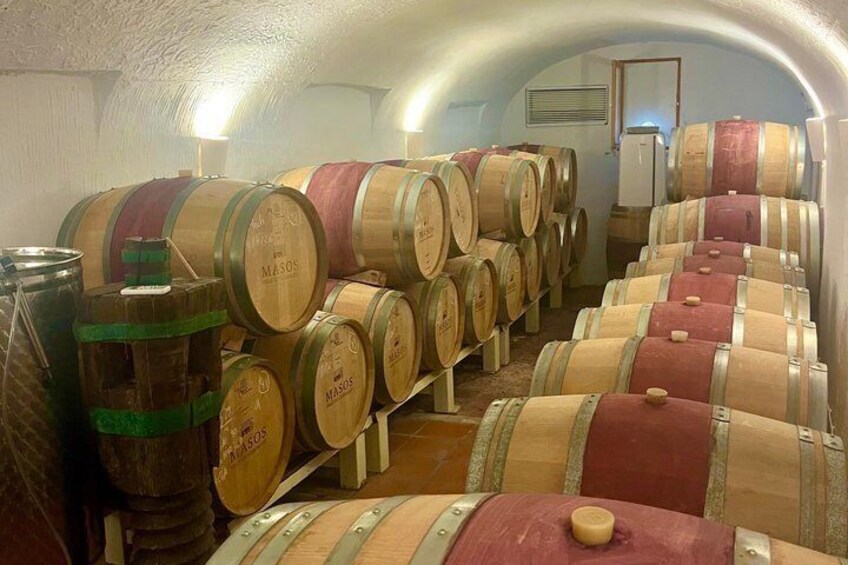 Alicante Winery with 7 Tastings and Guadalest Small Group Tour 4