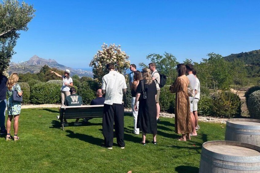 Alicante Winery with 7 Tastings and Guadalest Small Group Tour 5