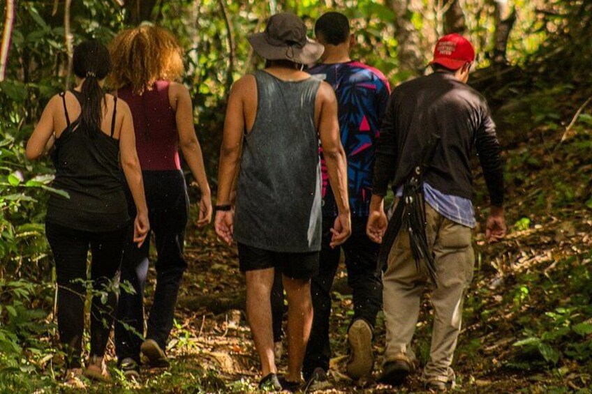 A group of people walking through a forested area. 2