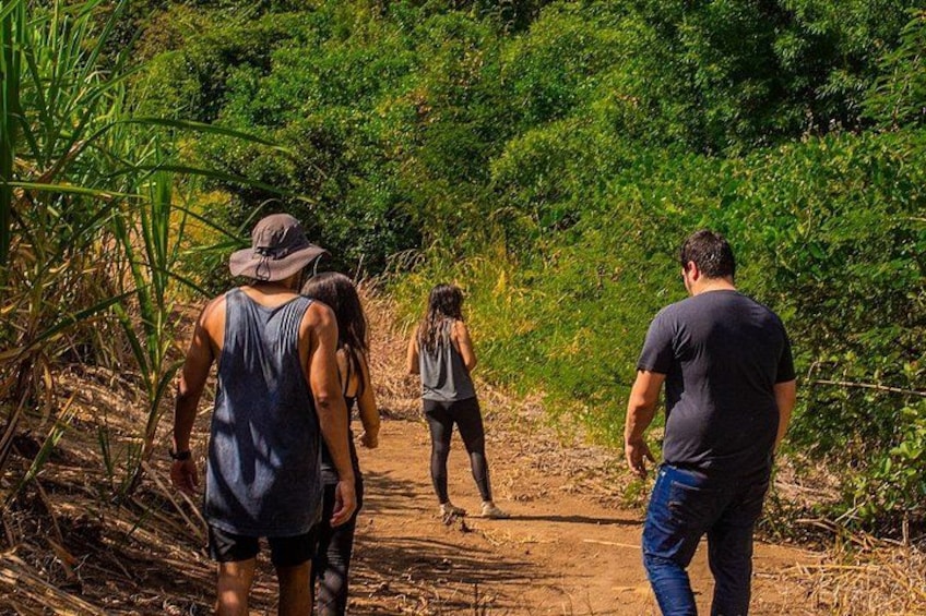 A group of people walking on a dirt path surrounded by dense greenery. 4