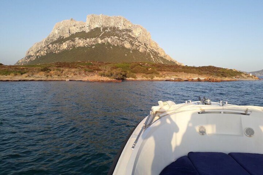 From Porto San Paolo: 4-hour boat tour to Tavolara 5