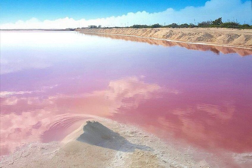 A large body of water with a pinkish hue, sandy banks, and a clear sky. 3