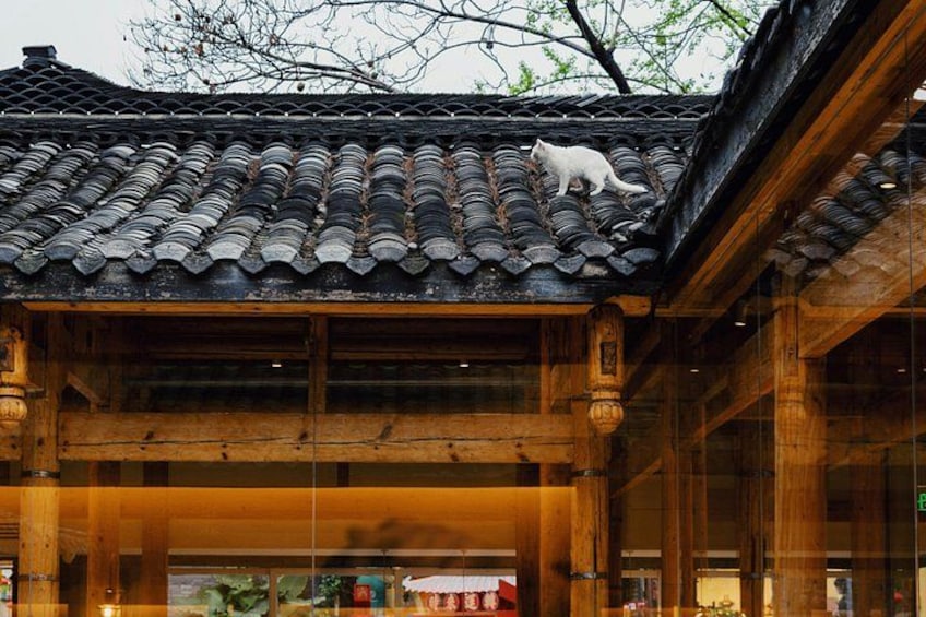 Chengdu City Walking Tour with Food and Culture Stops 4