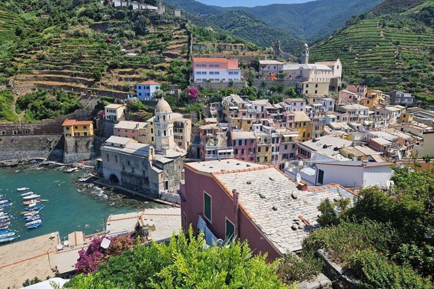 A coastal town with terraced vineyards, colorful buildings, and boats docked at the harbor. 4