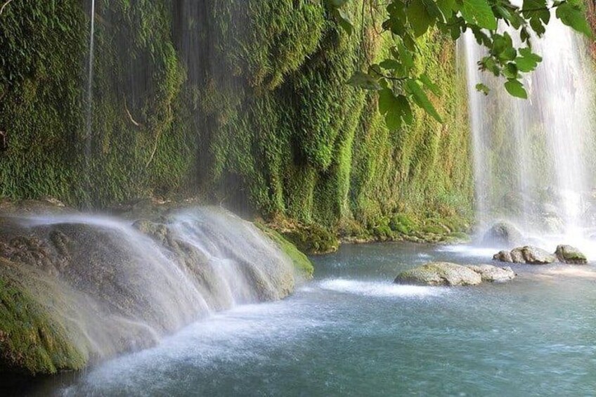 A waterfall, clear water, rocks, and dense green foliage. 5
