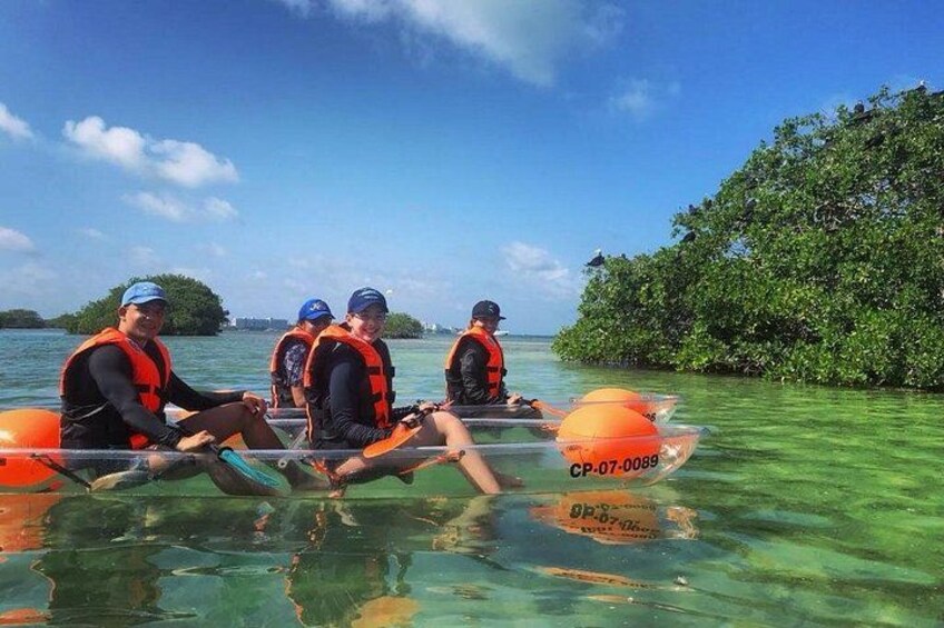Transparent Kayaking Tour in the Mangroves of San Andres 4