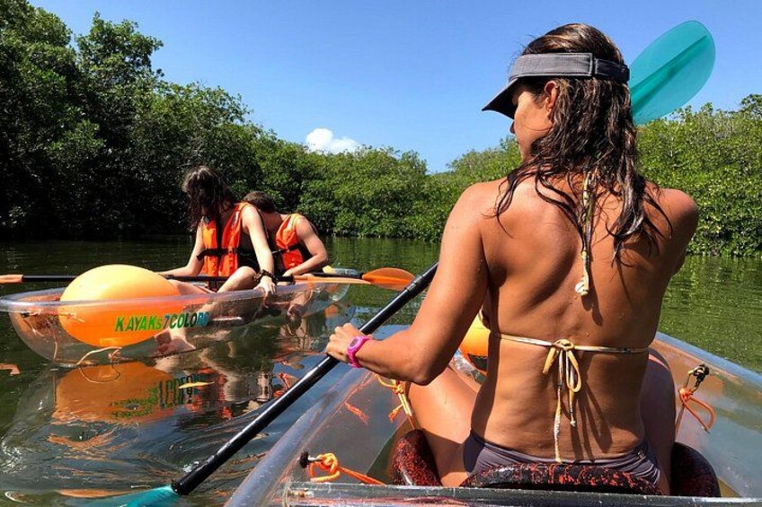 Transparent Kayaking Tour in the Mangroves of San Andres 1