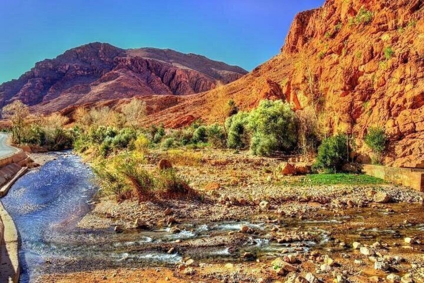 Experience Todra Gorge Hiking Adventure 5
