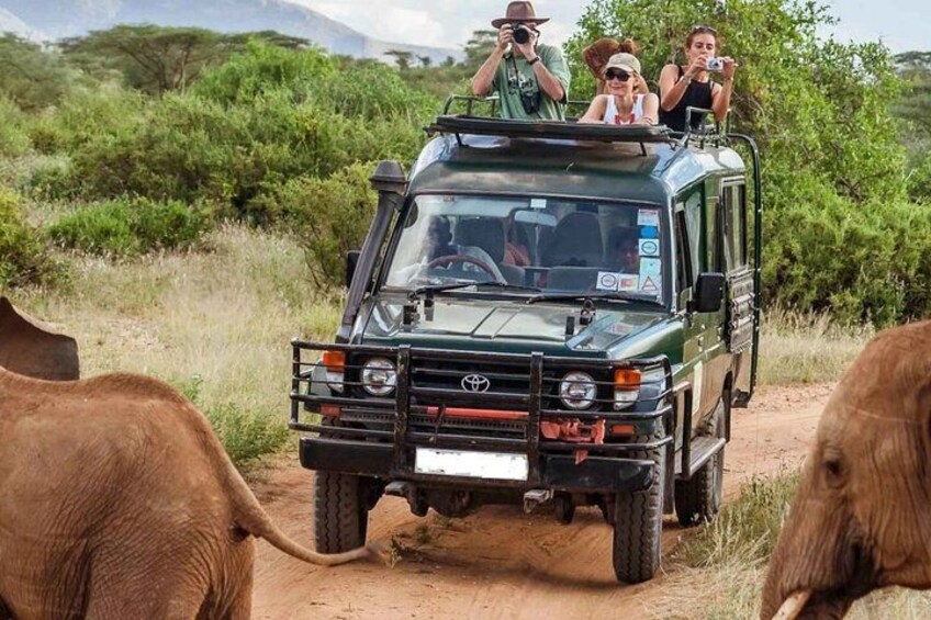 13-Day Best of Kenya Wildlife Safari and Zanzibar Beach Holiday 1