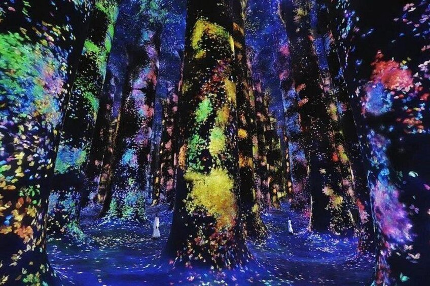 Teamlab Phenomena Abu Dhabi Tickets 3