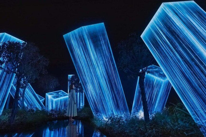 Teamlab Phenomena Abu Dhabi Tickets 5