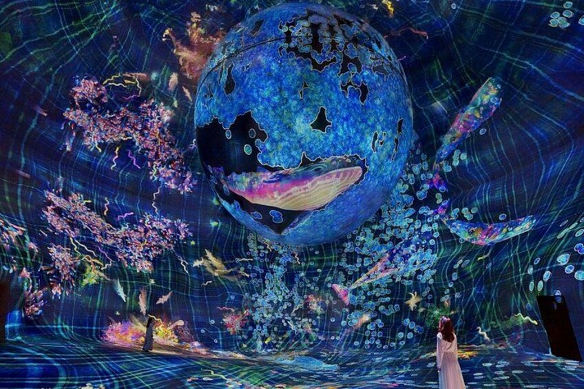 Teamlab Phenomena Abu Dhabi Tickets 2