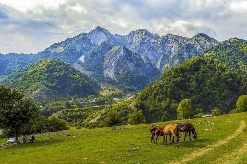 A mountainous landscape with horses grazing on a grassy field. 1