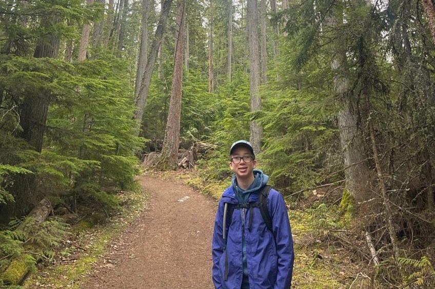 Cedars and Pines at Lake McDonald Lodge 2