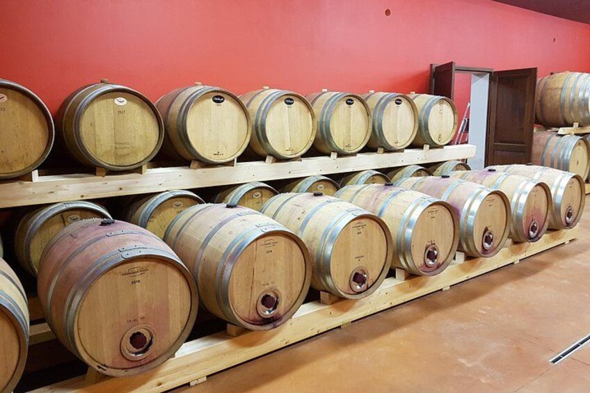 Enjoy a meal with wine tasting in the vineyard of Podere Casanova 4