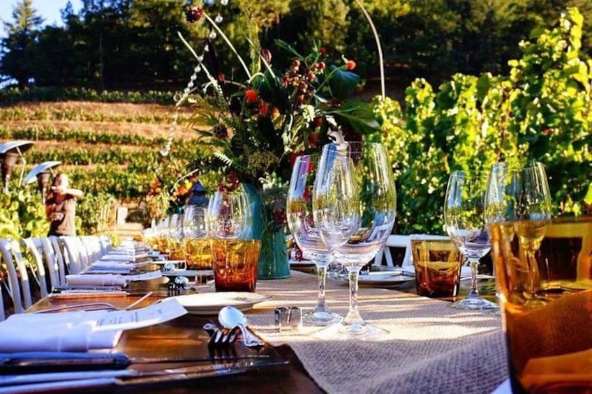 Enjoy a meal with wine tasting in the vineyard of Podere Casanova 2