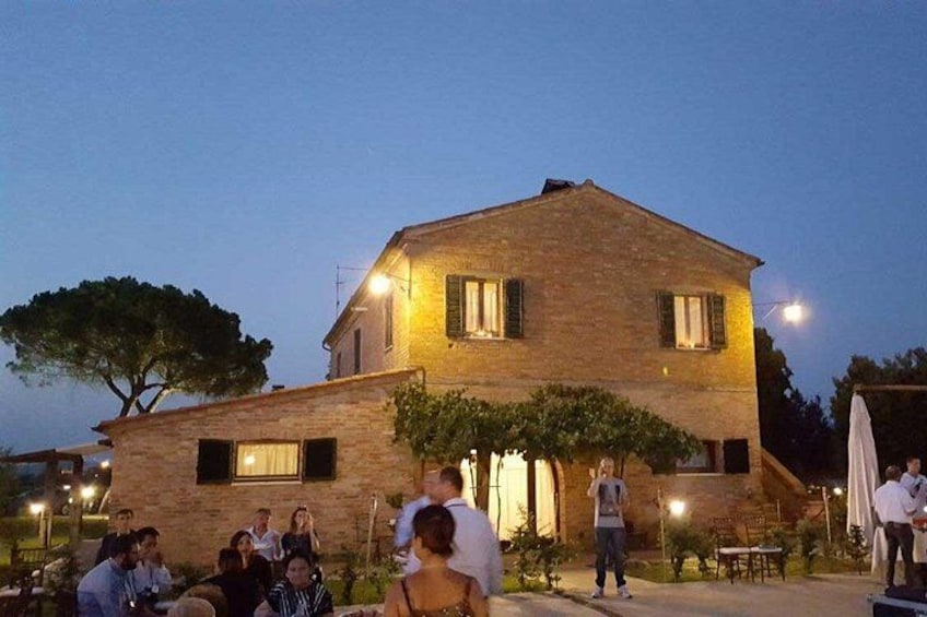 Enjoy a meal with wine tasting in the vineyard of Podere Casanova 5
