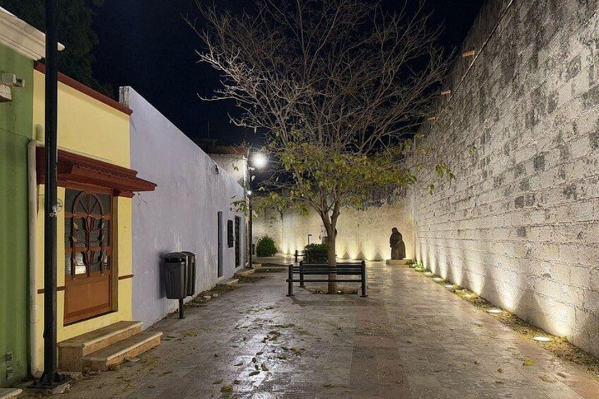 Private City Tour Campeche 5