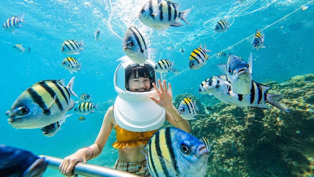 Half day Coral Islands by Speed Boat  5