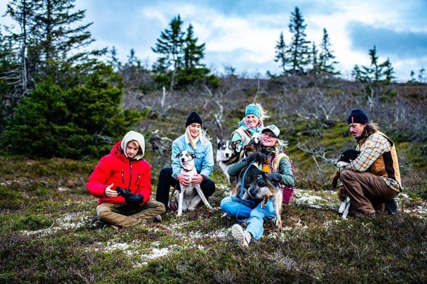 A group of people sitting on a grassy field with dogs, surrounded by trees and a cloudy sky. 1