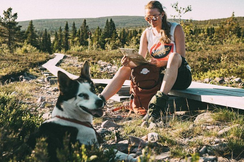 A person sitting on a wooden platform outdoors with a dog. 4