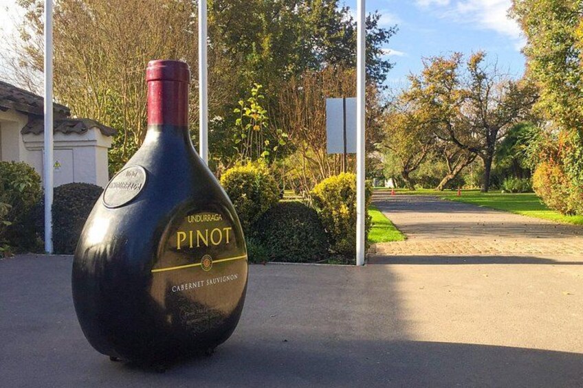 Eine Weinschlappe mit einem Etikett, auf dem 'PINOT' und 'CABERNET SAUVIGNON' steht, auf einer gepflasterten Fläche mit Bäumen und einem Gebäude im Hintergrund. 4