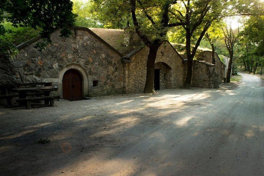 Wine Tasting in the Countryside from Budapest 2