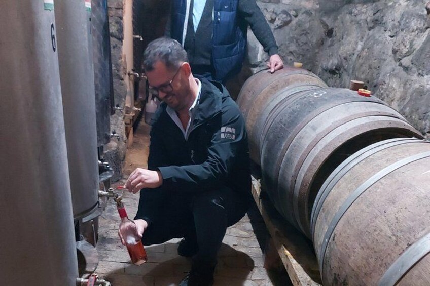 Wine Tasting in the Countryside from Budapest 3
