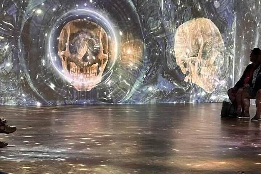 Immersive Van Gogh 4