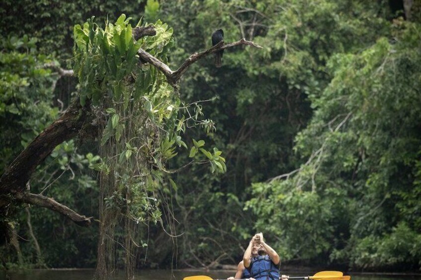 A person kayaking on a river surrounded by dense forest. 3