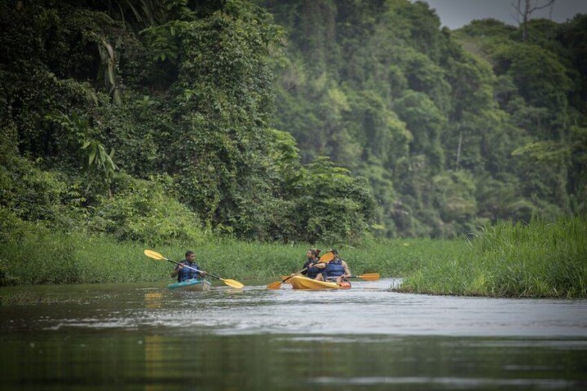 Two people kayaking on a river surrounded by dense greenery. 2