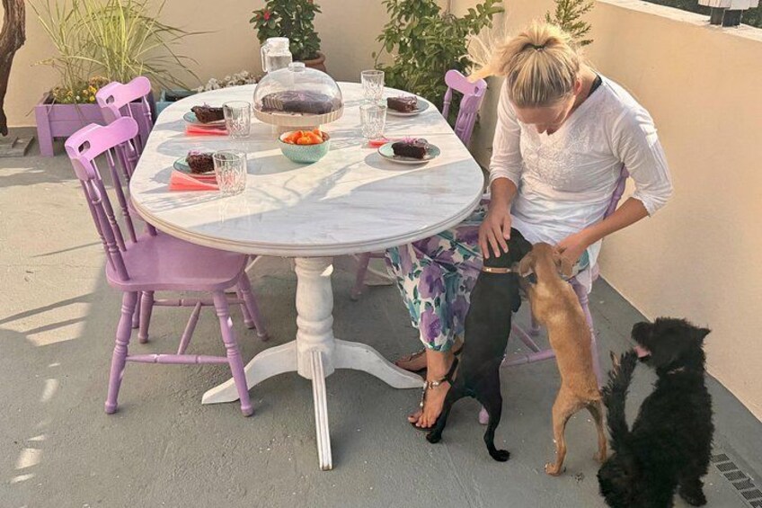 Una mujer sentada a una mesa redonda con un perro en su regazo, rodeada de sillas moradas y una mesa de comedor con platos, vasos y una jarra. 5