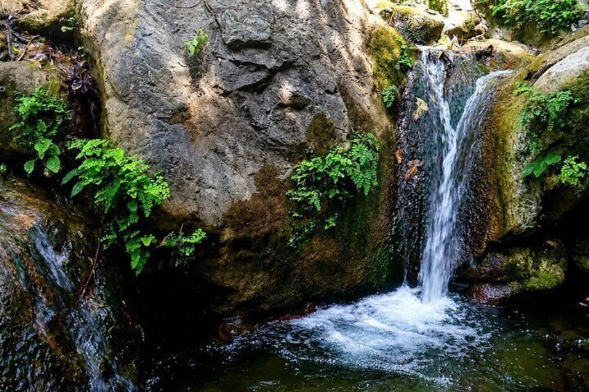 Rishikesh: Tat Wale Baba Cave Hike with Bhootnath Temple 2