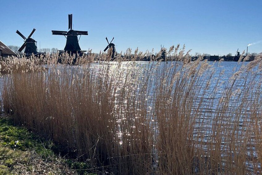 Amsterdam WINDMILLS !!! PRIVATE TOUR !!! Windmills. 3