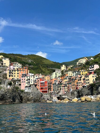 A coastal town with colorful buildings on a hillside, rocky shoreline, and clear blue water. 5