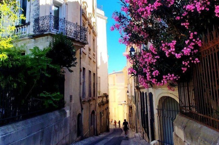 Montpellier guided tour by bike taxi 3