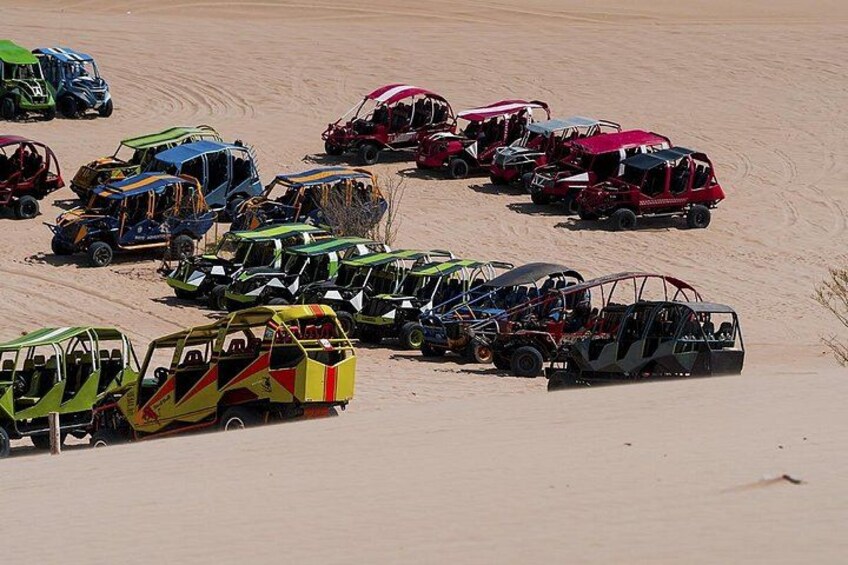 Full Day Lima Paracas & Adrenaline Tour in Huacachina 4