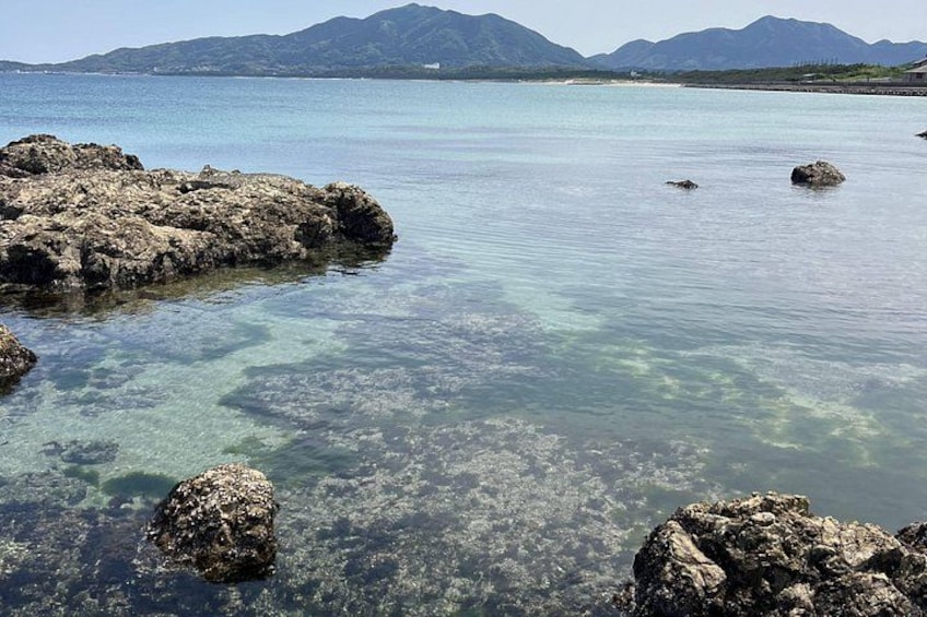 Idyllic Genkai coastline 2