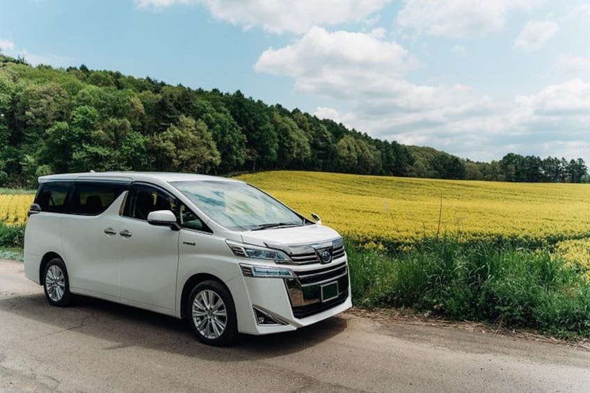 A white minivan parked on a road with a field and forest in the background. 1