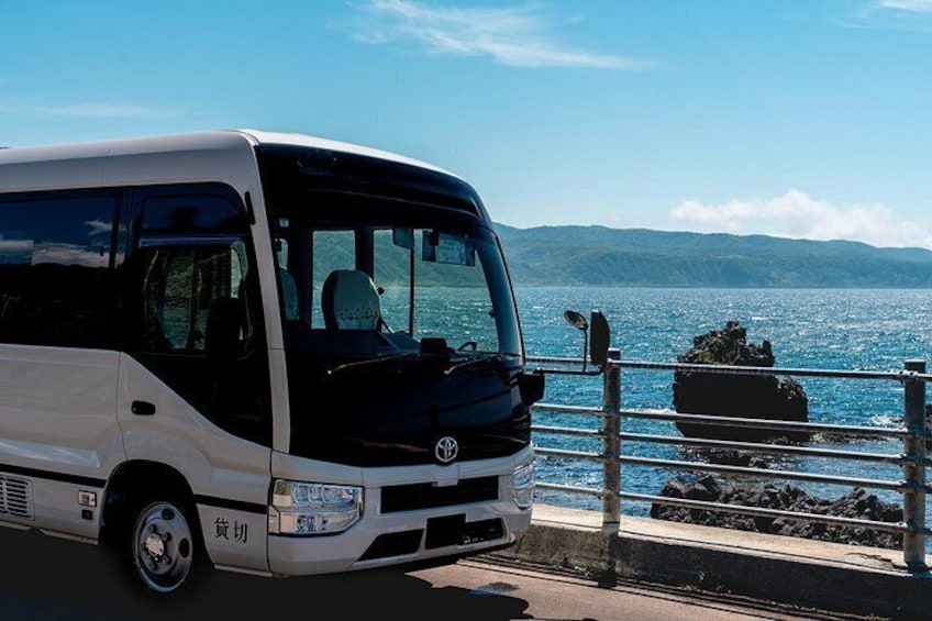 A white and black bus parked by a waterfront with a rocky outcrop in the background. 2