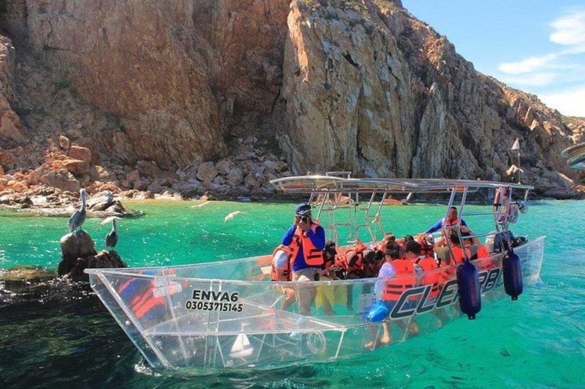 Cabo San Lucas Arch and Lovers Beach Transparent Boat Tour 2