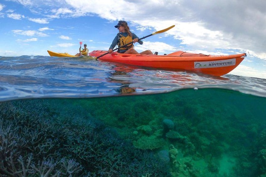 Two kayakers on a calm sea, one in an orange kayak and the other in a yellow kayak, with clear water and underwater coral visible. 4