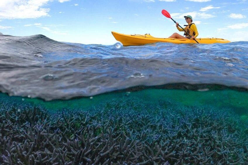 Coral By Kayak - Ningaloo Reef Half Day Kayak & Snorkel Tour 1