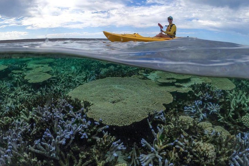A person kayaking on a coral reef with clear water and a boat in the background. 3