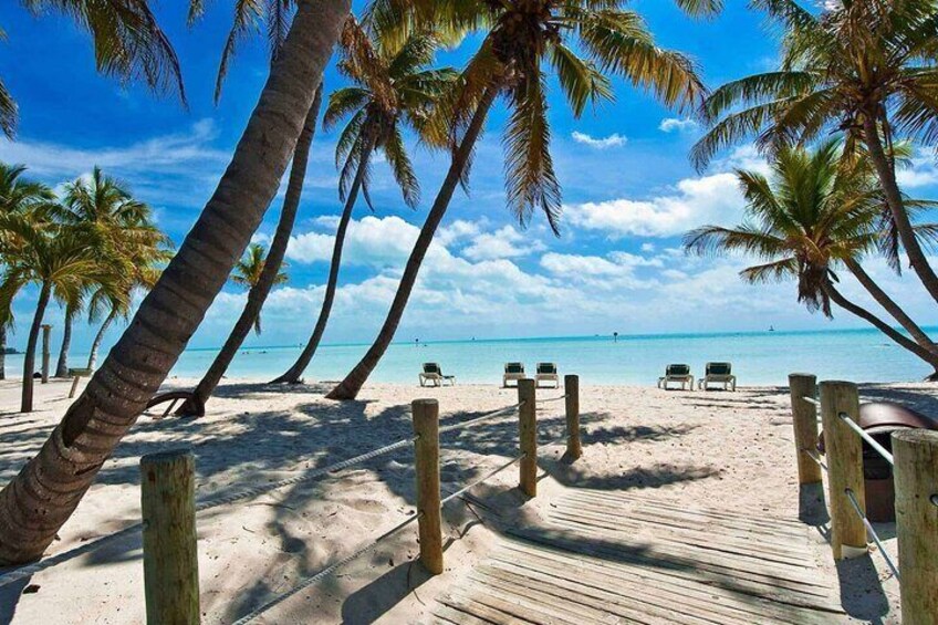 Une promenade en bois mène à des chaises de plage sur une plage de sable bordée de palmiers. 4