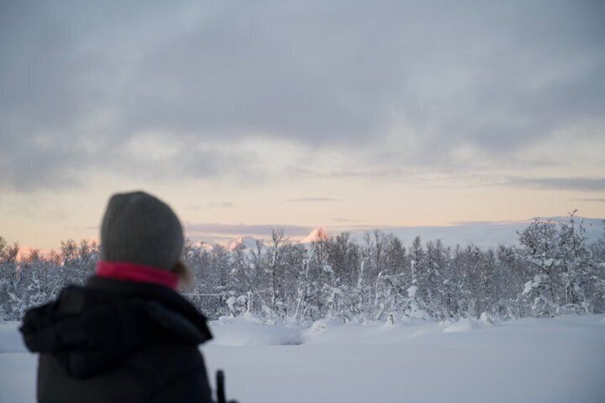 A person standing in a snowy landscape with trees covered in snow. 4