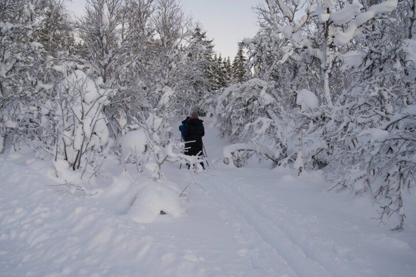 A person skiing through a snowy forest. 2