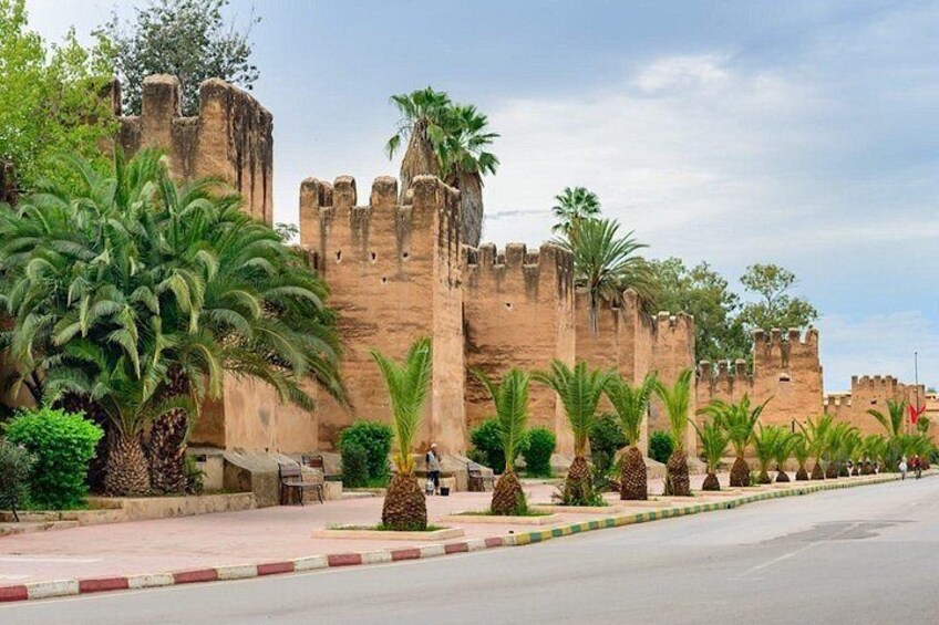 A historic fort with a large wall, palm trees, and a paved road. 5